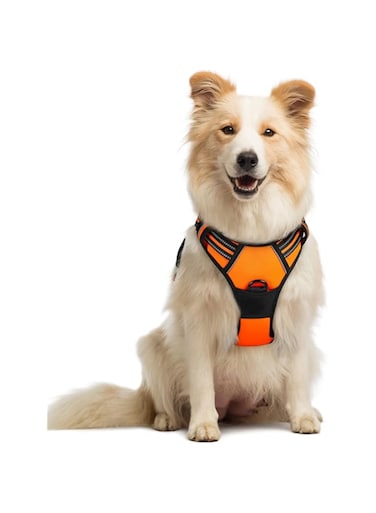 rabbitgoo Anti-Pull Dog Harnesses Adjustable with Reflective Lines Harness Car Dog Car Diesel Harnesses Dog Breathable Vest with Handle Safety Medium Orange