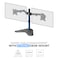 STARGOLD Dual Monitor Stand  Heavy-Duty Free-Standing Desk Mount for 17&rdquo;-32&rdquo; Flat or Curved Screens