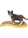 Pet Cat Scratch Board Cardboard Cat Scratcher &ndash; Durable Cat Scratching Pad &amp; Lounge Bed for Indoor Cats, Cat Grinding Claw Toy with Catnip, Reversible Corrugated Cardboard, Furniture Protector