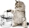 Cat Water Fountain, Dog Water Dispenser, Automatic Pet Drinking Fountain with Faucet Kits, 64oz/1.8L Super Quiet, Transparent Healthy &amp; Hygienic Drinking Bowl for Cats, Dogs, Multiple Pets