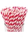 4basix Biodegradable Paper Straws (Pink)