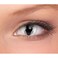 Crazy Lens &ndash; GRAY DRAGON Halloween &amp; Cosplay Lenses Yearly Disposable &ndash; 2 Lenses