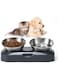 Doeek Tilted Cat Food Bowls - Elevated Cat Bowls, Anti Vomiting Cat Bowl Set, Stainless Steel Cat Bowls with Stand for Indoor Cats Kitten Puppy Dogs