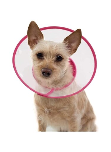 ELECDON Pet Cone, Adjustable 6.7-9 Inches Lightweight Elizabethan Collar for Puppies, Small Dogs and Cats Adjustable Recovery Cat Cone Dog Cone Collar Clear Padded (Pink)