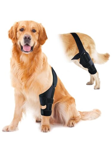 Dog Knee Brace for Hind and Rear Leg, Support for Dog ACL CCL Cruciate Ligament Injury Joint Pain and Muscle Sore (Black, XS)