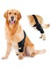 Dog Knee Brace for Hind and Rear Leg, Support for Dog ACL CCL Cruciate Ligament Injury Joint Pain and Muscle Sore (Black, XS)