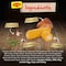 Nestle Maggi Excellence Chicken Sour With Corn Soup 47g Pack of 10