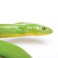 Safari LTD. Rough Green Snake