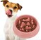 Minta Slow Feeder Small Dog Bowls, Slow Food Feeding Pet Bowl, Non Slip Puzzle Bowl, Anti Gulping, Healthy Design, Sturdy and Durable, Can Be Used for Small Medium Size Dogs and Cats