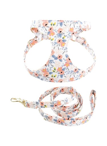 No Pull Floral pattern Dog Harness- Lightweight and Soft Dog Harness, Adjustable Small Dog Harness and Leash Set, with Dog Leash, Suitable for Puppy Small and Medium-sized Dog (xs)