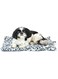 Furhaven ThermaNAP Self-Warming Cat Bed for Indoor Cats &amp; Small Dogs, Washable &amp; Reflects Body Heat - Quilted Faux Fur Reflective Bed Mat - Snow Leopard, Small