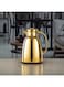 Almarjan Vacuum Flask Metal Body with Glass Liner 1L Matt Silver &amp; Gold (RPA-100-MSG)