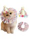 Masroo Cat Dog Princess Costumes Puppy Cat Birthday Bandana Scarf and Party Hat Cute Lace Dog Bib Scarf and Christmas Hat Doggy Cat Birthday Party Decorations Set