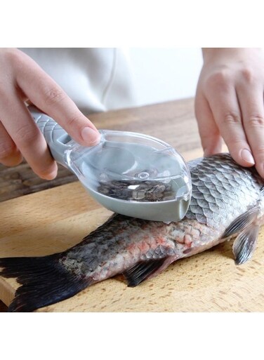 Remove Fish Scales Multicolour