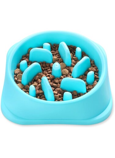 NOYAL Dog Slow Feeder Bowl, Non Slip Puzzle Bowl - Anti-Gulping Pet Slower Food Feeding Dishes - Interactive Bloat Stop Dog Bowls - Durable Preventing Choking Healthy Design Dogs Bowl