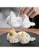 for rice Cat Rice Mold, Cute Animal Rice Shaper, Kitchen DIY Lunch Decoration Tool, White