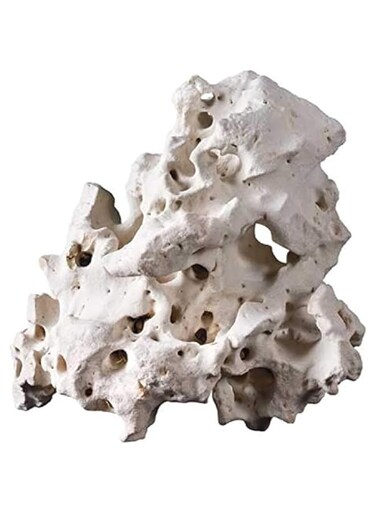 Hobby Cavity Rock - Asian L 2 to 3.5 KG