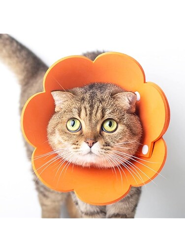 ANTOLE Adjustable Recovery Cat Collar, Cat Cone Soft After Surgery,Healing Wound Neck Cone for Kitties and Puppies, Protective Collar Elizabethan Collars for Cats Small Dogs (M)