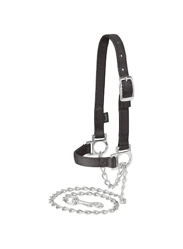 Weaver Leather Nylon Adjustable Sheep Halter with Chain Lead