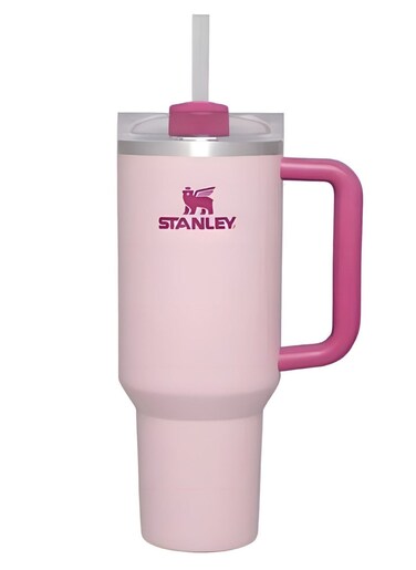 Quencher H20 Flowstate Stainless Steel Vacuum Insulated Tumbler with Lid and Straw for Water, Iced Tea or Coffee Flamigo Pink