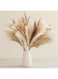 2Twenbes Natural Dried Pampas Grass Bouquet, 60 Pcs Dried Reed Flowers, Boho Home Decor Bouquet for Home Table Decorations, Wedding Floral Arrangements Rustic Farmhouse