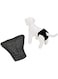 Camon Speedy-Slip Pant for Female Dog, Small, Black