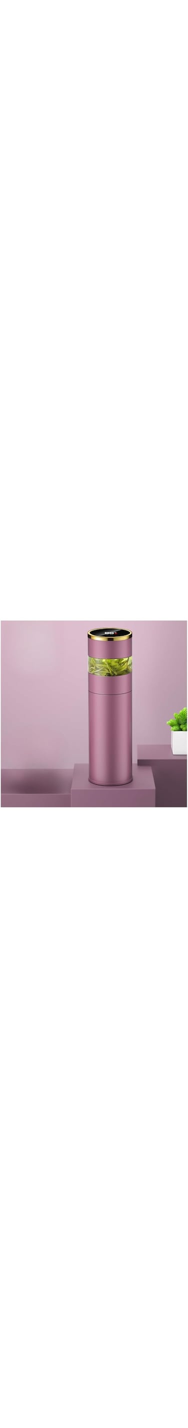 350ml Leak Proof Insulated Infuser Water Bottle with Temperature Display and Tea Strainer Loose Leaf Green Tea Fruit Infused Detox Water Brewer Flask (Purple)