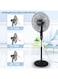 Sonashi 16 Inch Stand Fan - 3 Speeds With Remote Control, Low Noise Motor With Oscillation Function, Height Adjustable Design With 5 Transparent Blades, 7 Hours Timer SF-8027SR Black