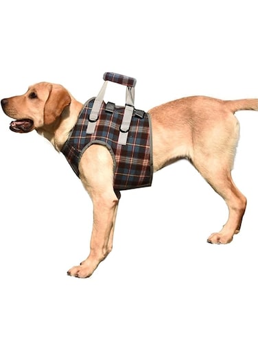 Dog lifting chest harness, mesh pet chest support assistance for poor stability, front leg disability, joint injury, elderly arthritis, ACL rehabilitation and rehabilitation (Blue, L)