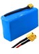 High-Performance 36V Lithium Battery Pack with XT60 Plug