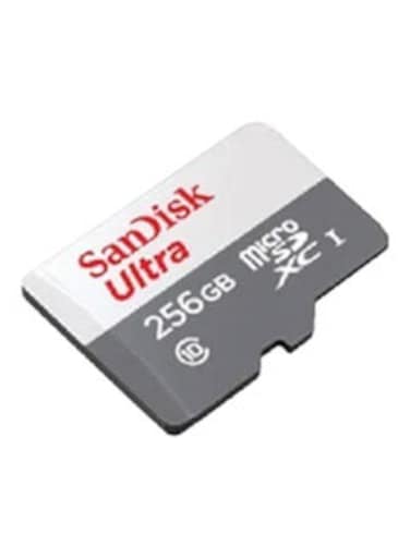 256GB Ultra Microsdxc Uhs 1 Card 100Mb/S Grey -Sdsqunr-256G-Gn3Mn, Grey 256 GB