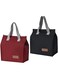 2 Pack Lunch Bag, Reusable Insulated Lunch Bags, Men Women Box Tote Bag for Work School Picnic Travel, Portable Large Capacity Insulated Bag