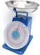 Camry Dial Spring Scale - 20kg