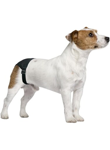 PAWISE Dog Pant Size Five