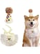 Rayyan Trend Dogs Birthday Hat with Sequins Tassels Bib Trend, Cats Dogs Birthday Hat, Carnivals Photography Handkerchief, Dogs Birthday Hat, Girl Dogs Birthday Hat, Boy Dogs Birthday (Small)