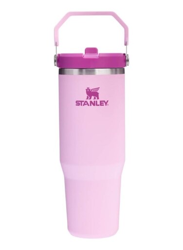 30oz Stainless Steel Tumbler &acirc;&euro;&ldquo; Double Wall Vacuum Insulated Travel Cup with Straw &amp; Leak-Resistant Flip Lid, Reusable Water Bottle for Home, Office &amp; Car &acirc;&euro;&ldquo; Keeps Drinks Cold Up to 12 Hours