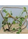 Coolrunner 8FT Reptile Vines and Flexible Reptile Leaves with Suction Cups Jungle Climber Long Vines Habitat Decor for Climbing, Chameleon, Lizards, Gecko