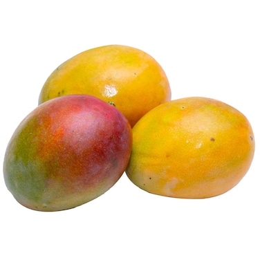 Mango Kaleb Al Thour