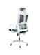 Galaxy Design Ergonomic Mesh Office Desk Chair with Headrest and Lumbar Support Comfortable High Color White PP &amp; Grey 7006