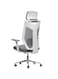 Galaxy Design Ergonomic Mesh Office Desk Chair with Headrest and Lumbar Support Comfortable High Color Grey