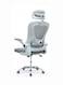 Galaxy Design Ergonomic Mesh Office Desk Chair with Headrest and Lumbar Support Comfortable High Color Light Grey