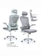 Galaxy Design Ergonomic Mesh Office Desk Chair with Headrest and Lumbar Support Comfortable High Color Light Grey
