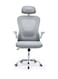 Galaxy Design Ergonomic Mesh Office Desk Chair with Headrest and Lumbar Support Comfortable High Color Light Grey