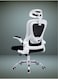 Galaxy Design Ergonomic Mesh Office Desk Chair with Headrest and Lumbar Support Comfortable High Color White &amp; Back