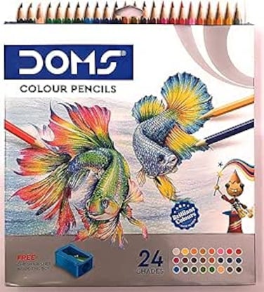 DOMS COLOR PENCILS 24PCS