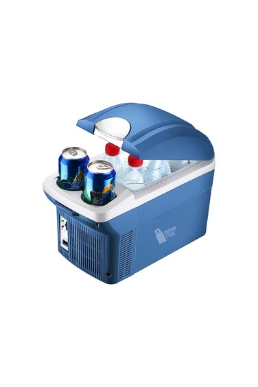 8L Thermoelectric Cooler &ndash; Portable Mini Fridge for Car &amp; Outdoor Use
