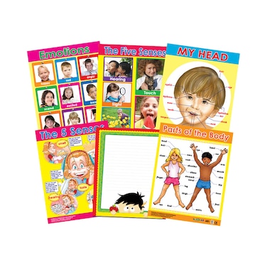 Me &amp; My Body (6 Wall Charts) - Educational Wall Chart Pack in English