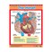 Exploring the Human Body (6 Wall Charts) - Educational Wall Chart Pack in English