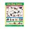 Animals &amp; Life Cycles (6 Wall Charts) - Educational Wall Chart Pack in English