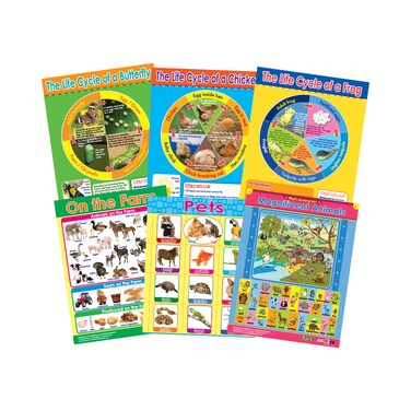 Animals &amp; Life Cycles (6 Wall Charts) - Educational Wall Chart Pack in English